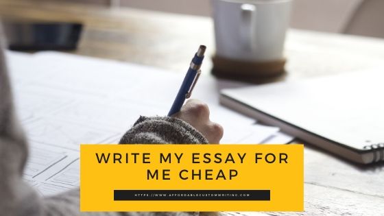 Write My Essay For Me Cheap